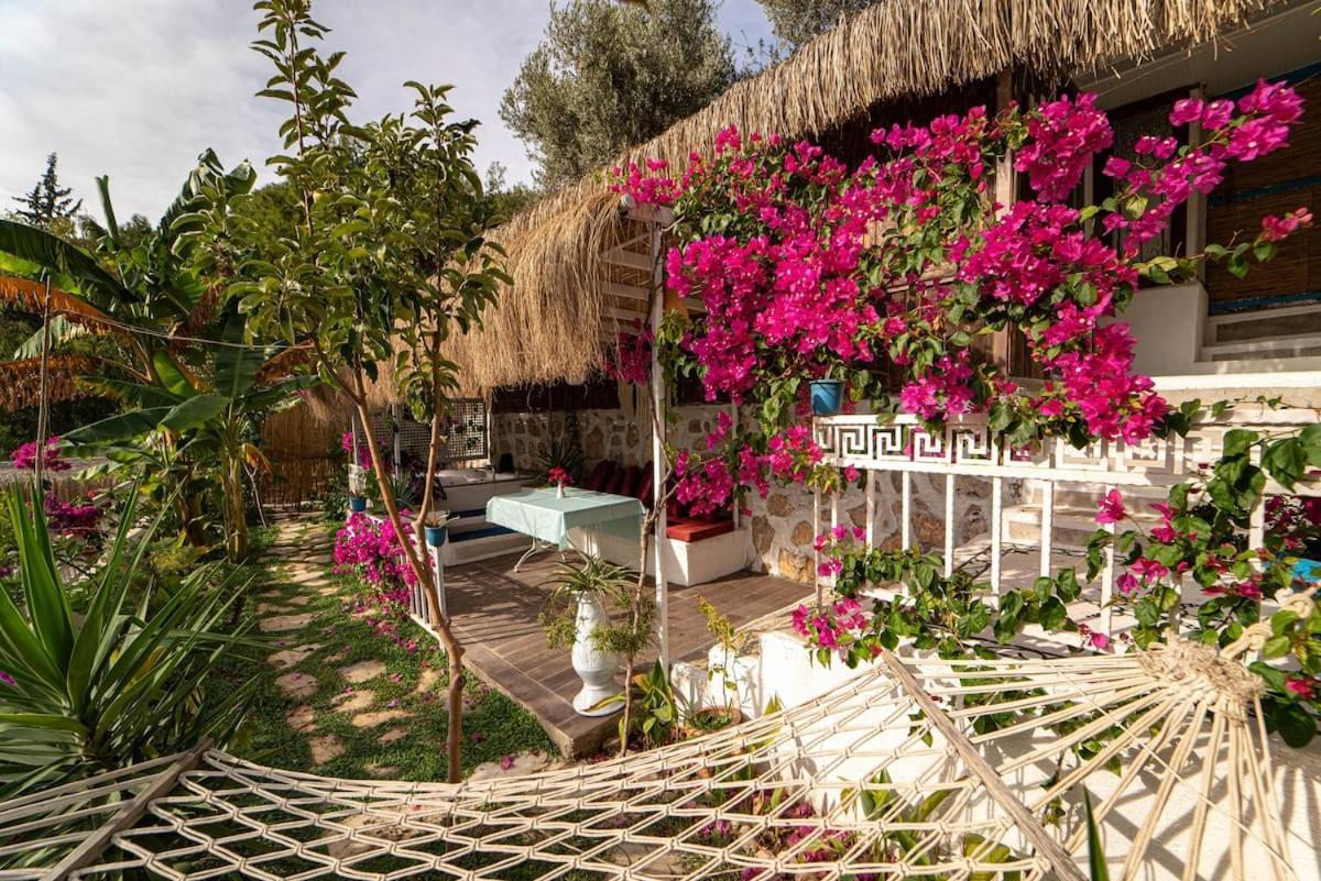Begonvilla Bungalows Fethiye Exterior foto